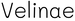 Velinae