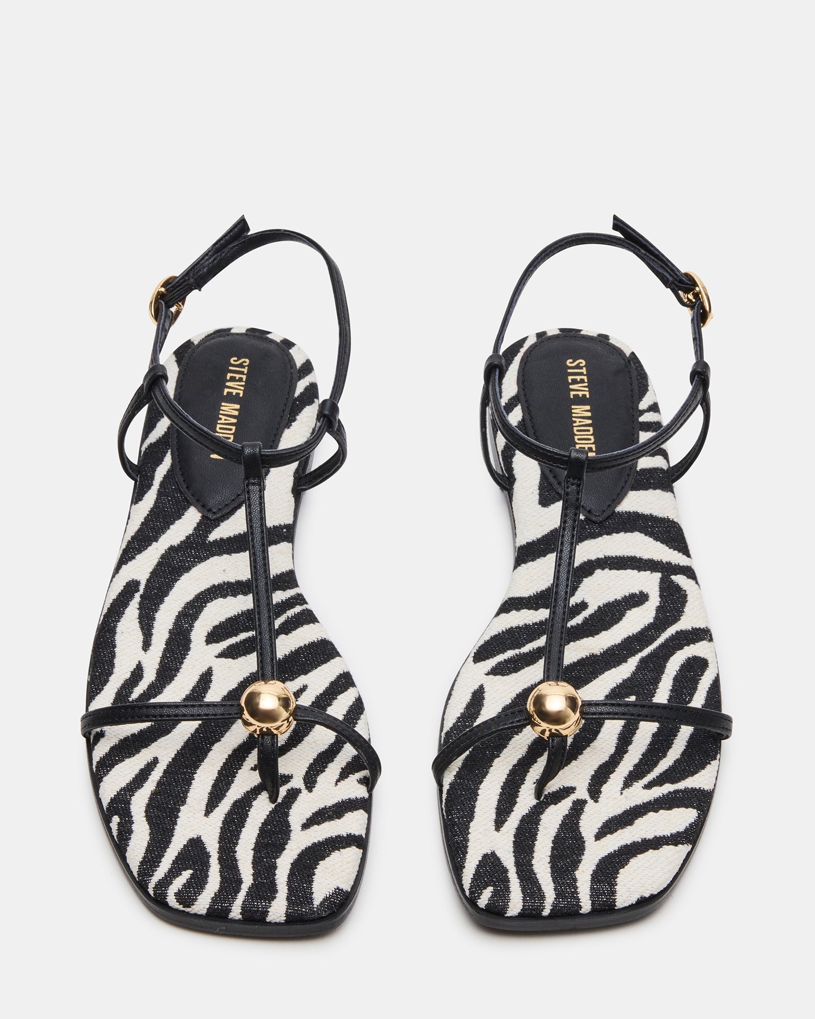 RITZY ZEBRA